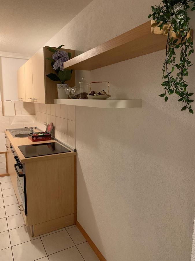 Holiday Home Nahe Europapark Lahr  Exterior foto